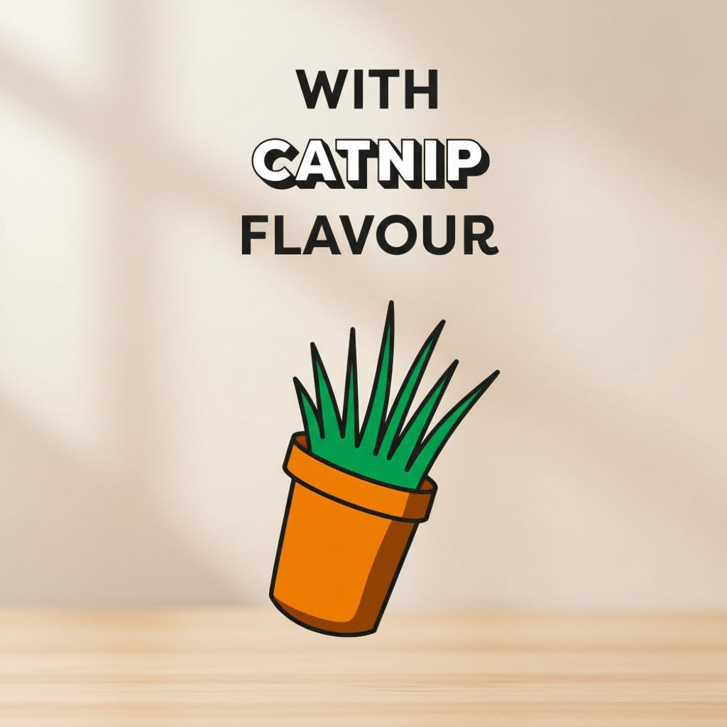 Potted plant with catnip flavour on a yellow background