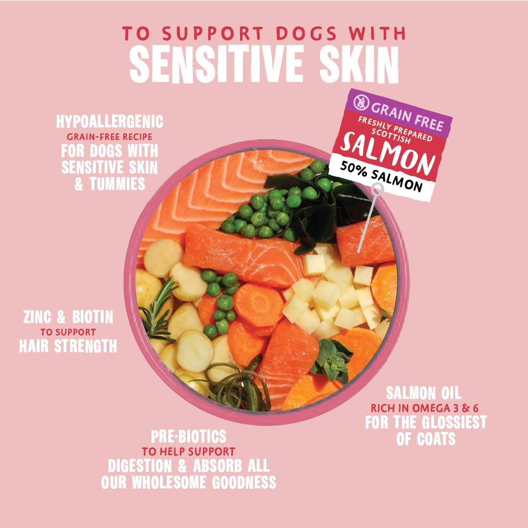 Dog food bowl with ingredients on a pink background, promoting a grain-free salmon recipe for dogs with sensitive skin.