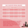 Daily suggested feeding amounts chart for dogs on a pink background