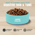 Dog food bowl with brown kibble on a light blue background, featuring text about supporting dogs with sensitive skin and tums.