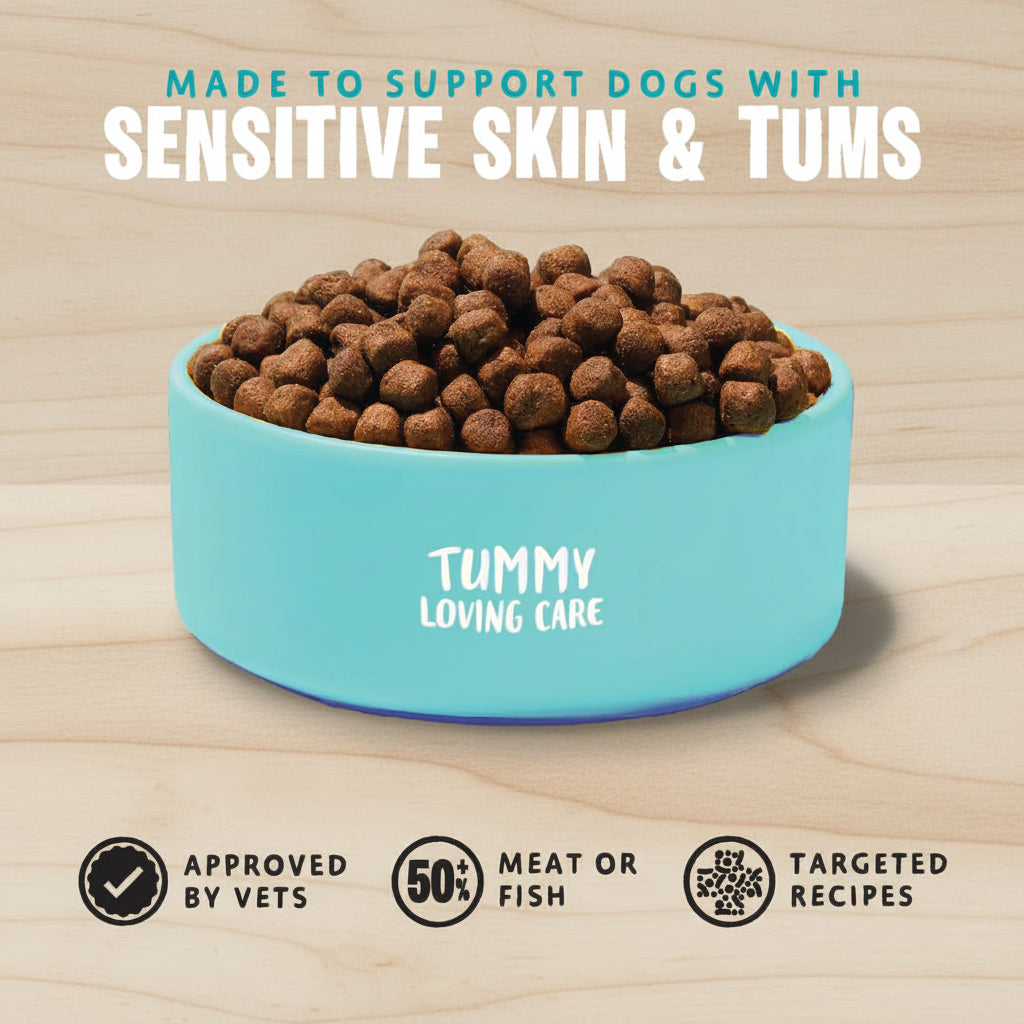 Dog food bowl with brown kibble on a light blue background, featuring text about supporting dogs with sensitive skin and tums.