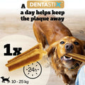 Dog chewing on a Dentastix with text about its plaque-fighting benefits.