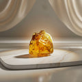 Close-up of a piece of amber with visible insect inclusion on a white background