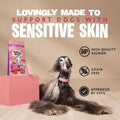 Dog with a package of dog food on a pink background, featuring text about the product's features.