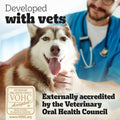 Dog being held by a person with a veterinary professional in the background, featuring the Veterinary Oral Health Council logo.