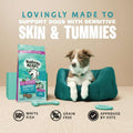 Barking Heads dog food bag shown next to a brown and white dog sitting in a teal pet bed, with marketing text about sensitive skin and tummies on a light teal background.