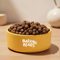 Yellow bowl with 'Barking Heads' text filled with dog food on a teal background