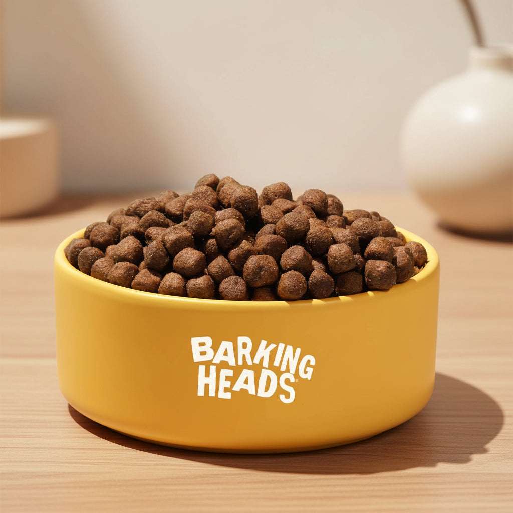 Yellow bowl with 'Barking Heads' text filled with dog food on a teal background