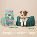 Dog sitting on a teal bed with a Barking Heads pet food package and dog toys on a light blue background.