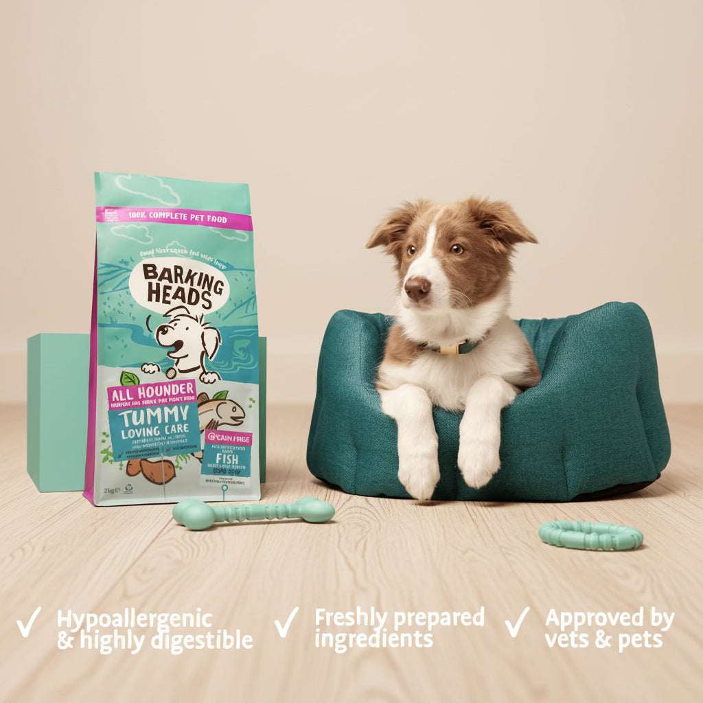 Dog sitting on a teal bed with a Barking Heads pet food package and dog toys on a light blue background.