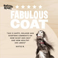 Dog with 'Fabulous Coat' text and Barking Heads logo on a pink background