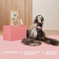 Dog with a package of Bark & Bone hairball control treats on a pink background