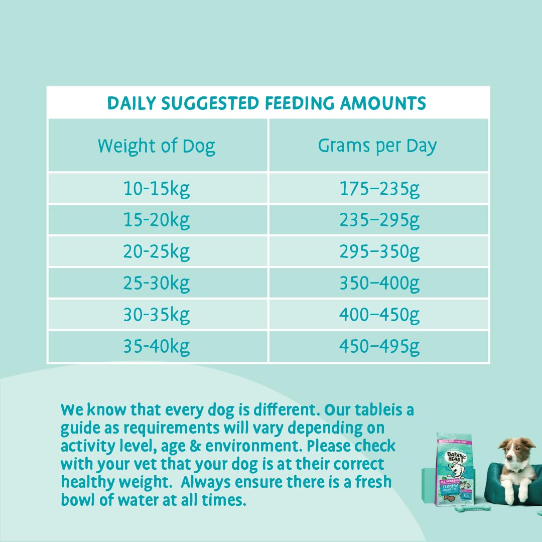 A teal and white informational table titled 'DAILY SUGGESTED FEEDING AMOUNTS' showing dog weights and grams per day. Below the table, text advises checking a pet's correct weight and suggests consulting a vet.