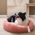 Dog lying on a pink fluffy pet bed in a cozy living room.