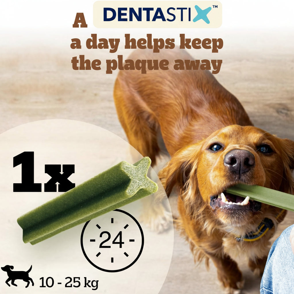 A dog chew treat for dogs, shown being held by a golden retriever. The image includes text overlays reading 'A DENTASTIX a day helps keep the plaque away', '1x', '24h', and '10 - 25 kg' with a small dog silhouette.