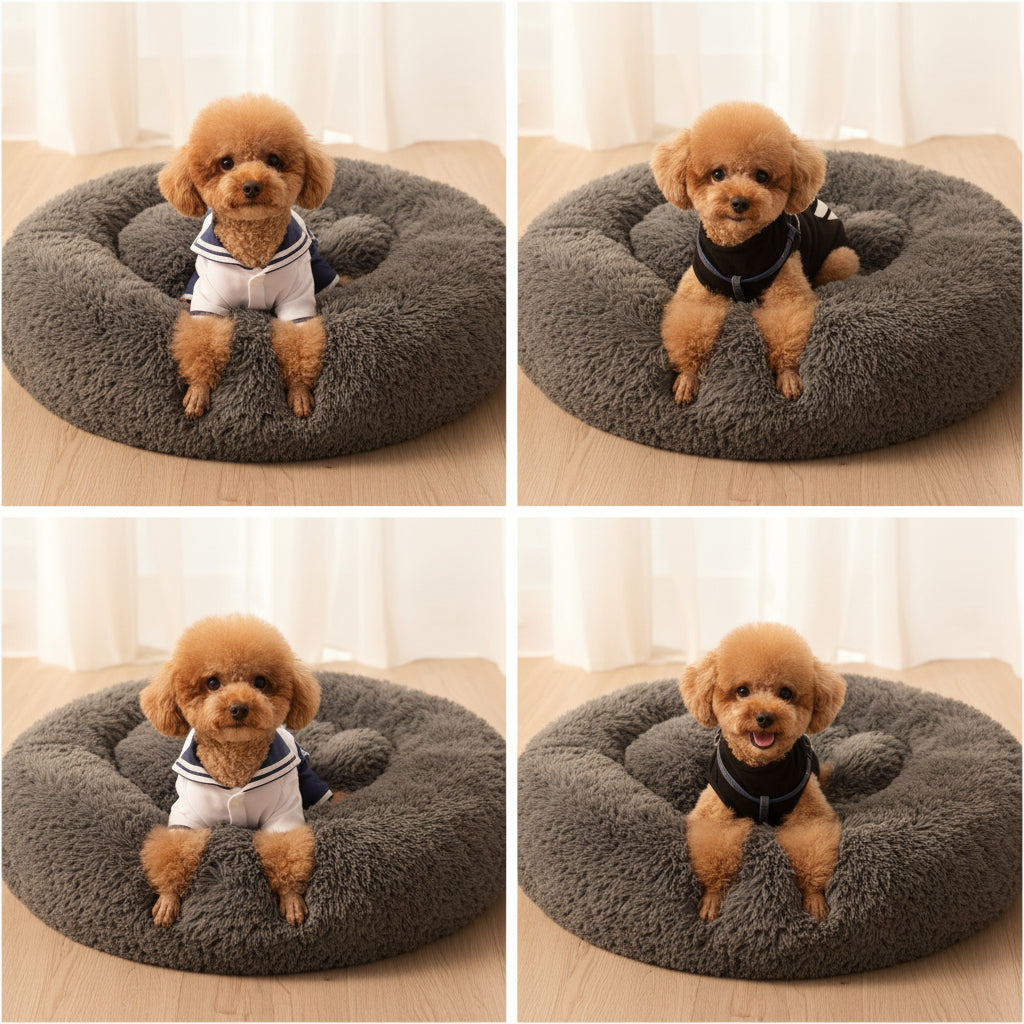 Dog sitting on a fluffy gray pet bed in a home setting.