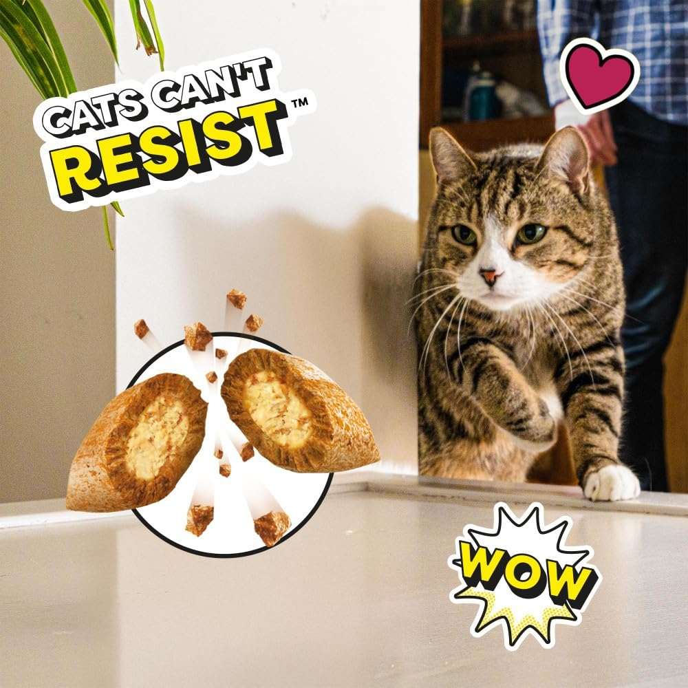 Cat Treats Multipack Biscuits – Variety Snack Box (12 x 60g Pouches)
