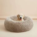 A light cream-colored puppy sitting inside a round, fluffy beige dog bed on a white background.