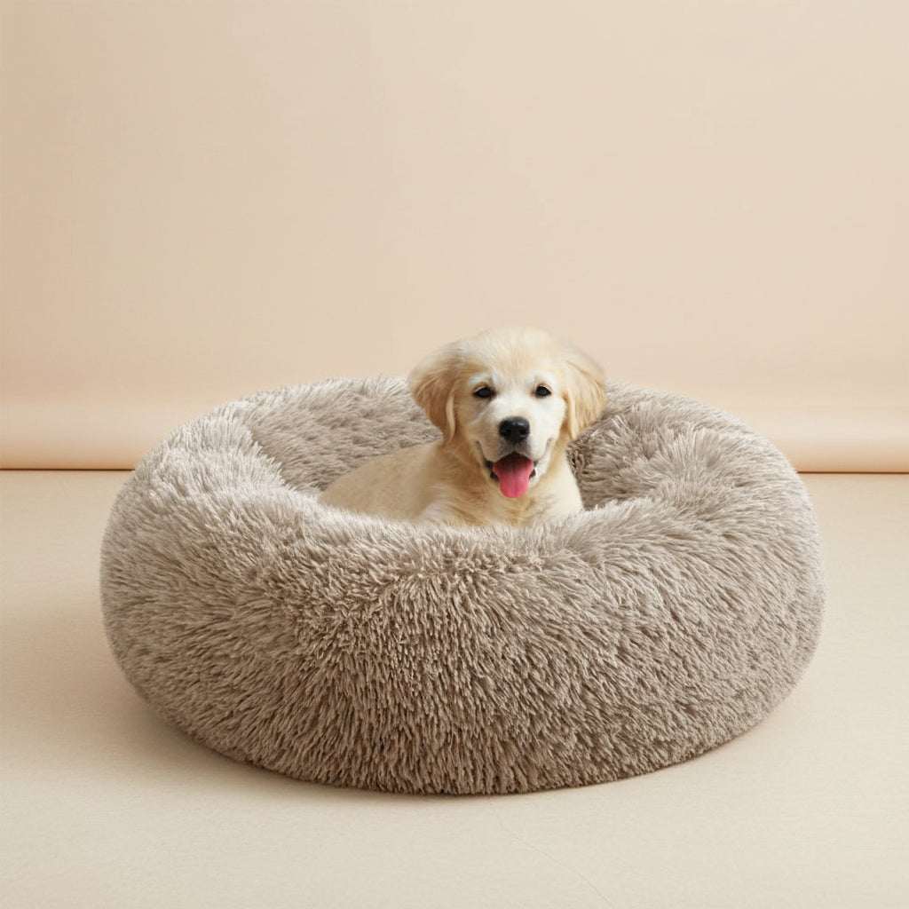 A light cream-colored puppy sitting inside a round, fluffy beige dog bed on a white background.