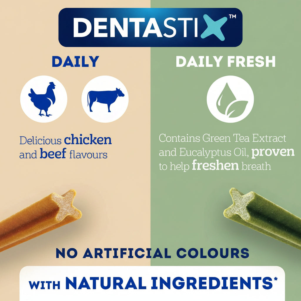 Dentastix product display with chicken and beef flavors on blue background and green tea extract and eucalyptus oil on green background.