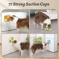 Dog using a pet door with 77 strong suction cups in various settings.