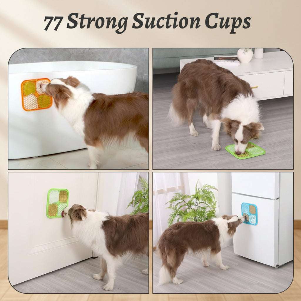 Dog using a pet door with 77 strong suction cups in various settings.