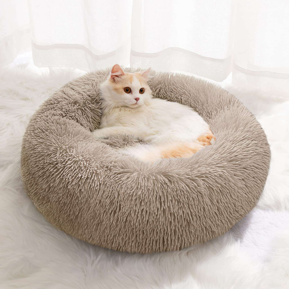 A fluffy round cat bed in light taupe, with a long-haired white and orange cat resting inside, set on a white faux fur rug in front of sheer white curtains.