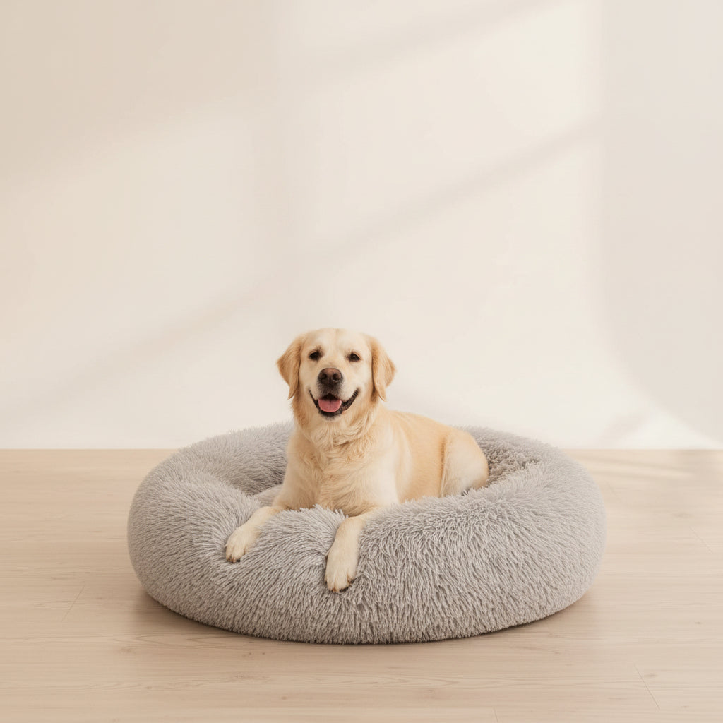 Dog lying on a fluffy gray pet bed in a bright room with a wooden floor and white curtains.