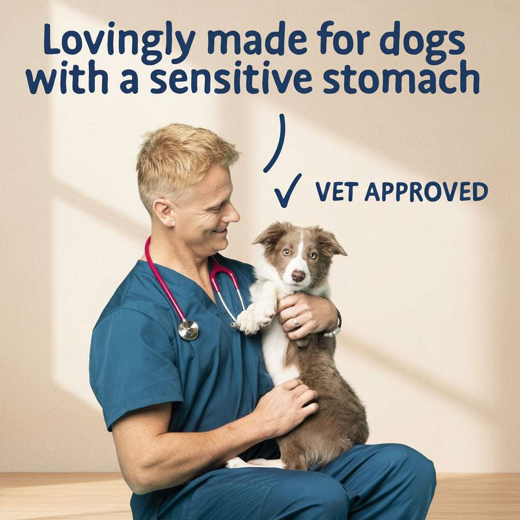 Veterinarian holding a small dog with text about vet approval for dogs with sensitive stomachs.