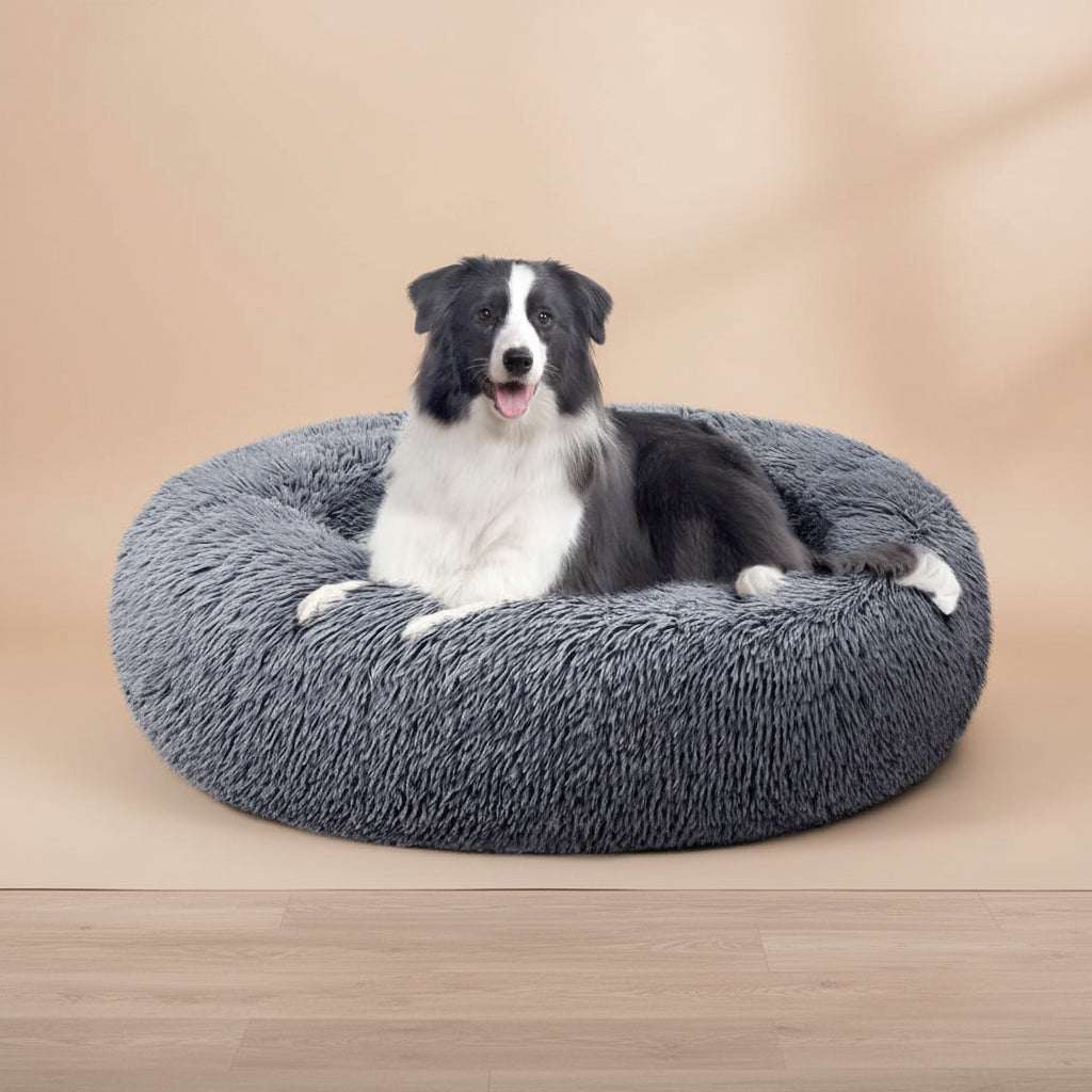A black and white dog lying on a round, fluffy gray pet bed against a plain white background.