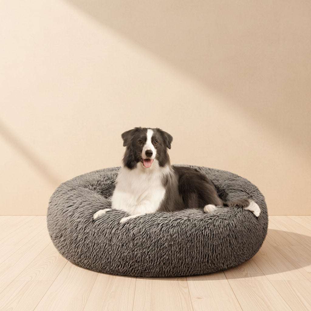 A black and white dog lying on a round, plush, dark gray pet bed against a solid white background.