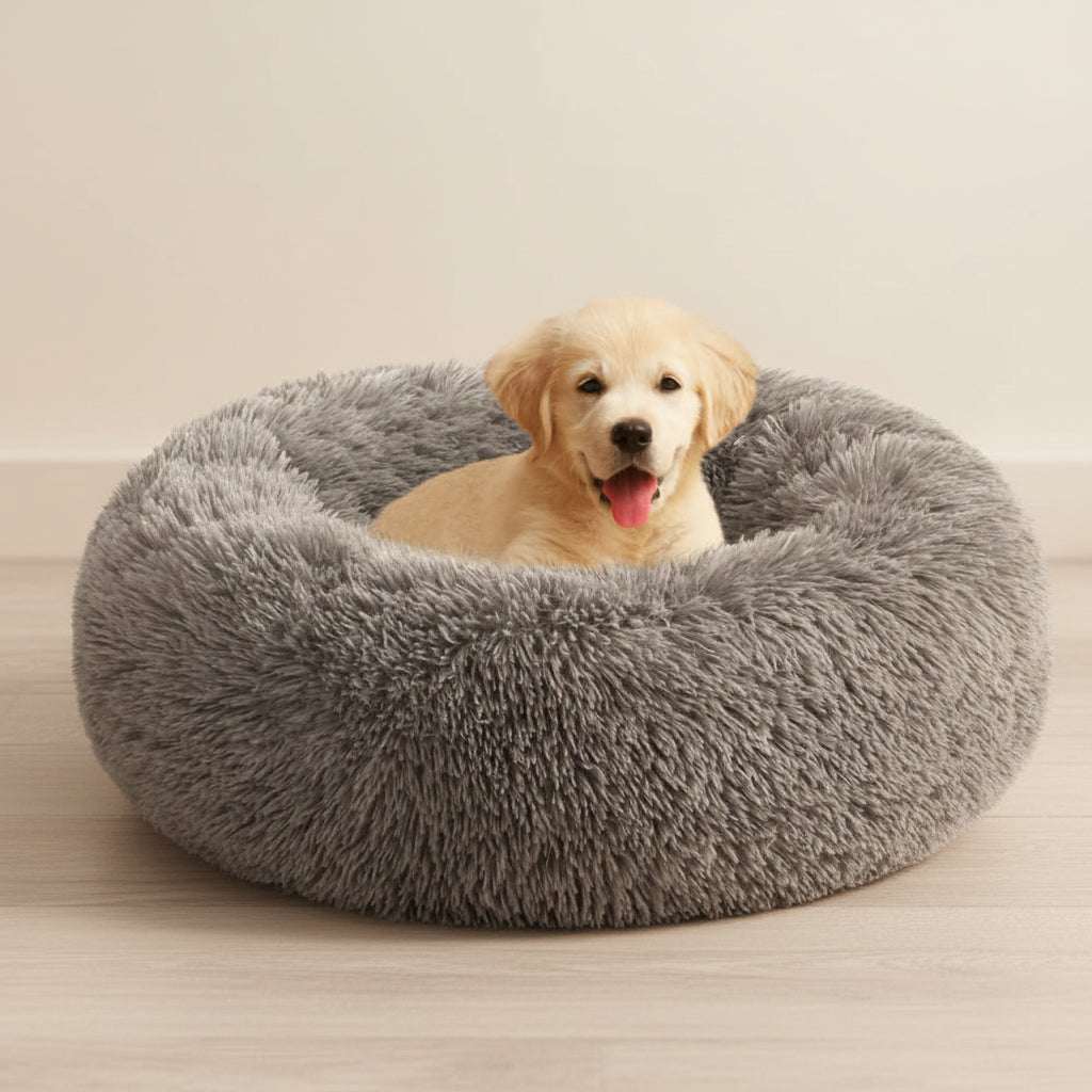 Dog lying on a fluffy gray pet bed with a white background