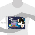 Felix cat food package held by a person to show size