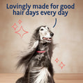 Dog with long hair on a pink background with text 'Lovingly made for good hair days every day'.