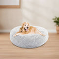 A golden retriever dog lying comfortably inside a round, fluffy light gray pet bed on a solid white background.