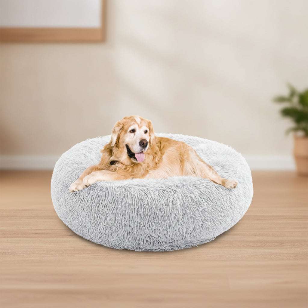 A golden retriever dog lying comfortably inside a round, fluffy light gray pet bed on a solid white background.
