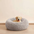 A light golden retriever puppy sitting inside a round, fluffy light gray pet bed on a white background.