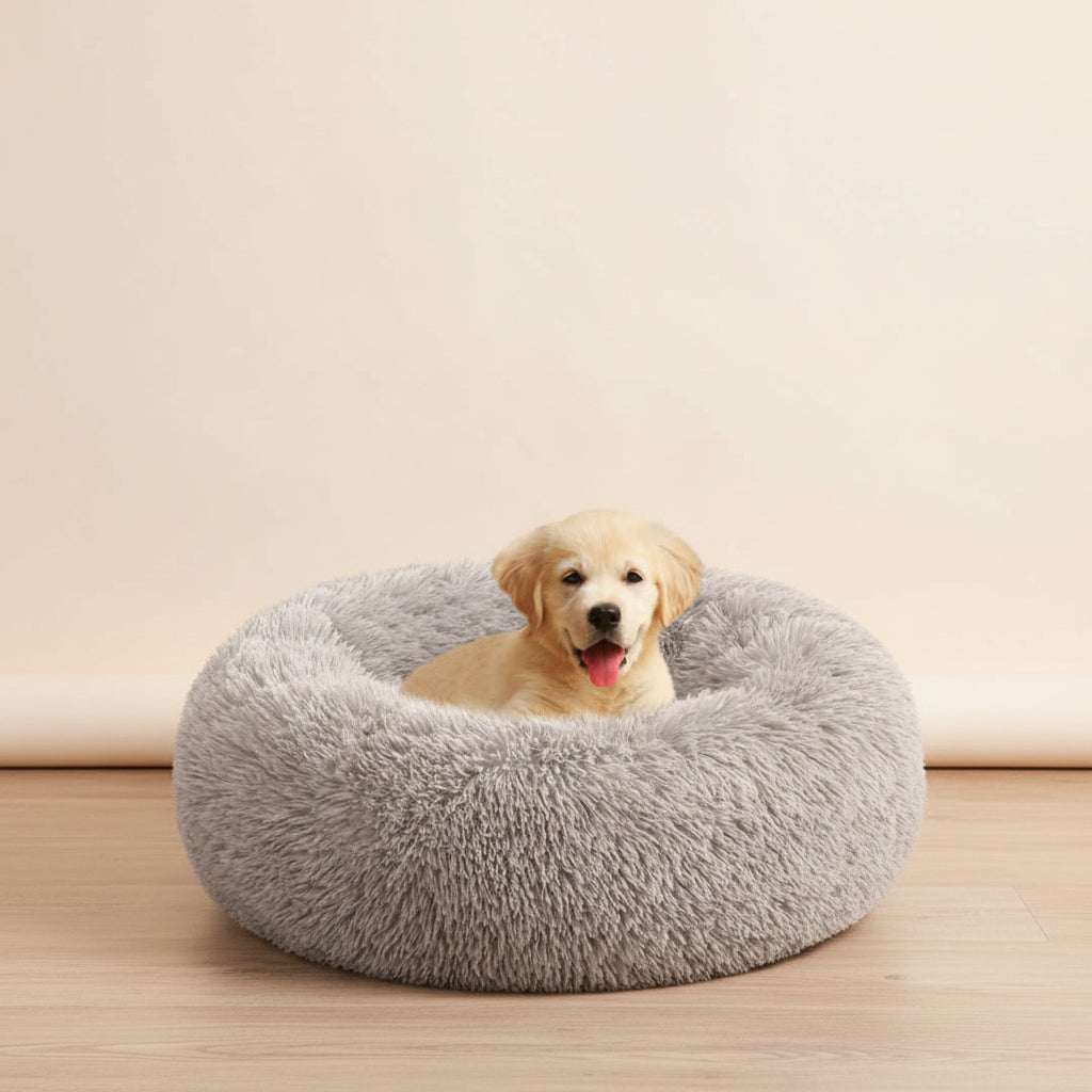 A light golden retriever puppy sitting inside a round, fluffy light gray pet bed on a white background.