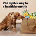 Dog sniffing a bag of snacks with text 'The lighter way to a healthier mouth' in a kitchen setting.