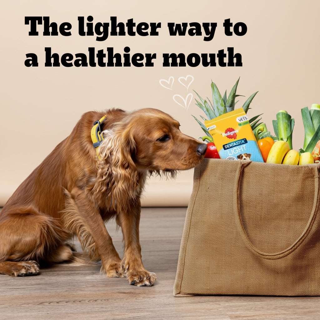 Dog sniffing a bag of snacks with text 'The lighter way to a healthier mouth' in a kitchen setting.