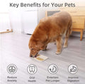 Dog interacting with a pet product on a wooden floor, with text highlighting key benefits.