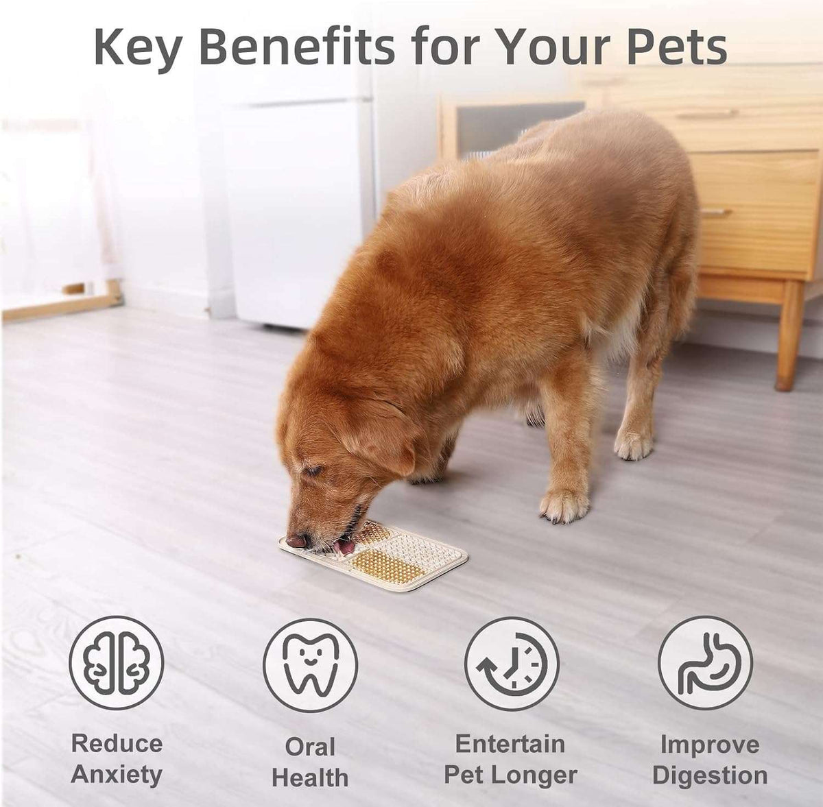 Dog interacting with a pet product on a wooden floor, with text highlighting key benefits.