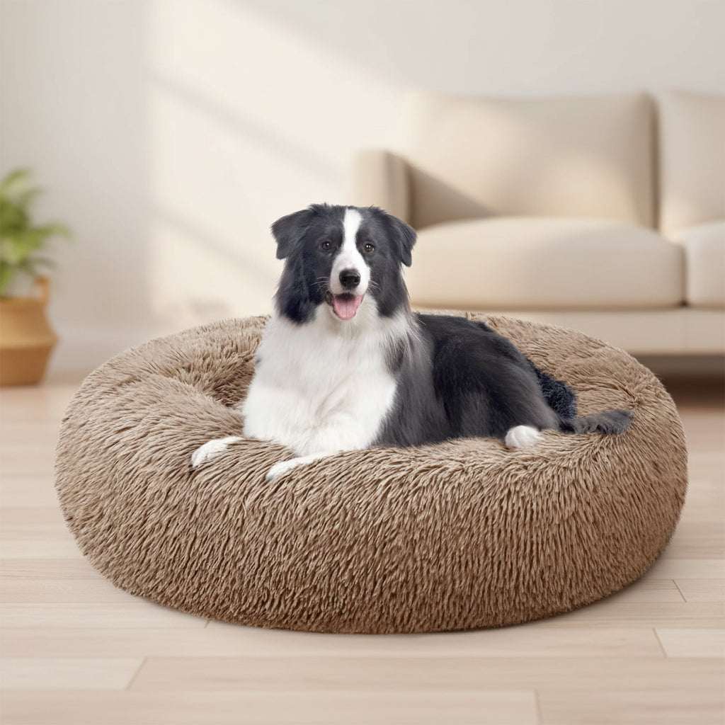 A black and white dog lying on a round, fluffy brown pet bed against a plain white background.