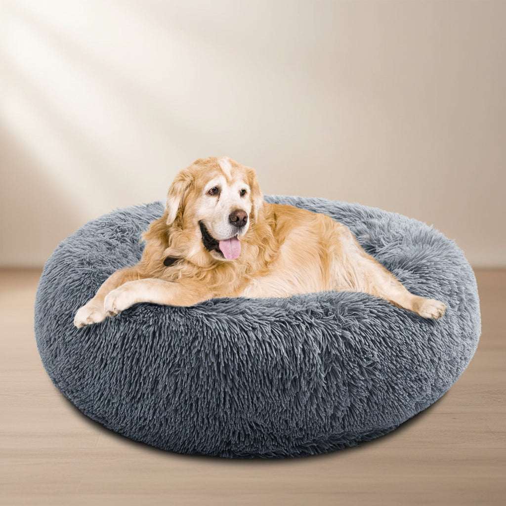 A golden retriever dog lying comfortably inside a round, plush, dark gray shaggy dog bed on a solid white background.