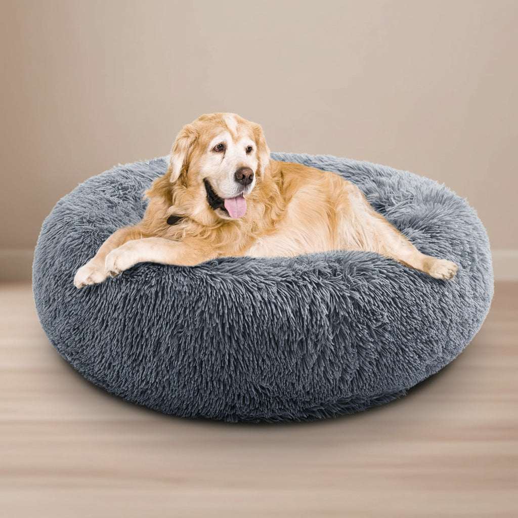 A golden retriever dog lying comfortably inside a round, plush, dark gray shaggy pet bed on a solid white background.