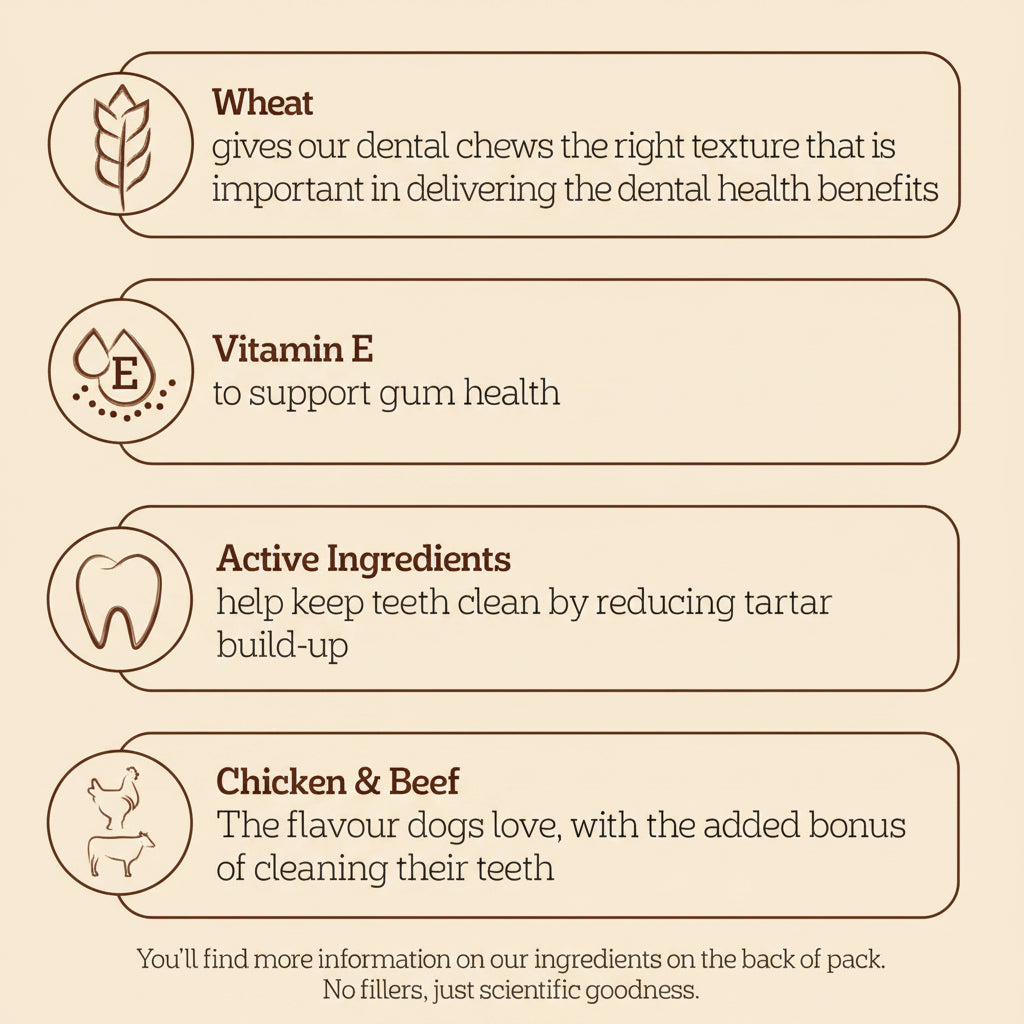 An informational graphic on an orange-yellow background with four rounded text panels describing dental chews ingredients: wheat for texture, Vitamin E for gum health, active ingredients for tartar reduction, and chicken & beef flavor.