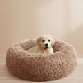 A light cream-colored puppy sitting inside a round, fluffy tan dog bed on a white background.