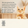 Cat on a white surface with text about being part of a community of businesses for a fairer and greener future, with a purple background.