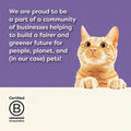 Cat on a white surface with text about being part of a community of businesses for a fairer and greener future, with a purple background.