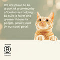 Cat on a white surface with text about being part of a community of businesses for a fairer and greener future, with a purple background.